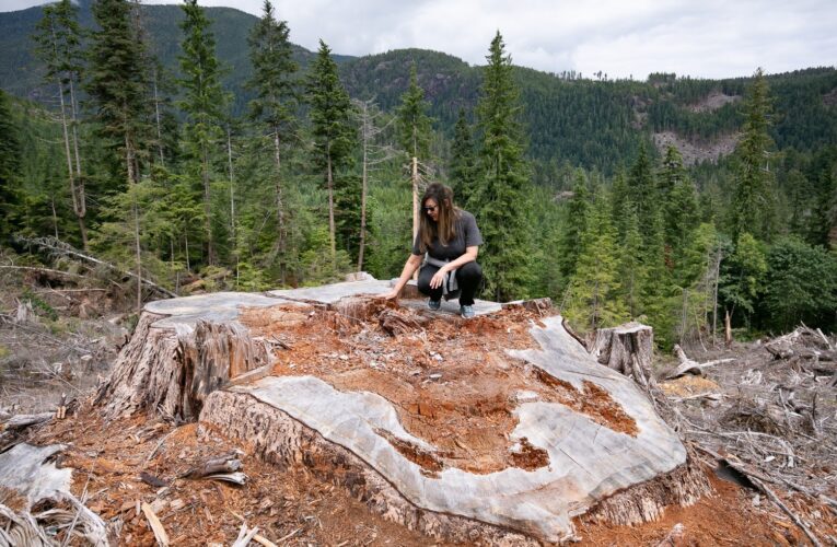 ‘A Garage Sale for the Last Old Growth’
