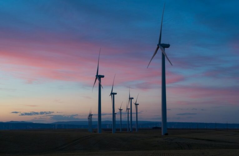 All must change utterly: We need a ‘People’s Green New Deal’