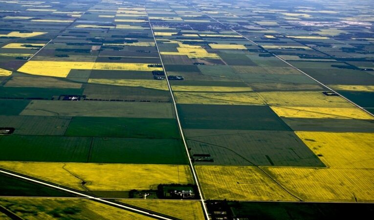 How Canada failed its farmers and agri-producers