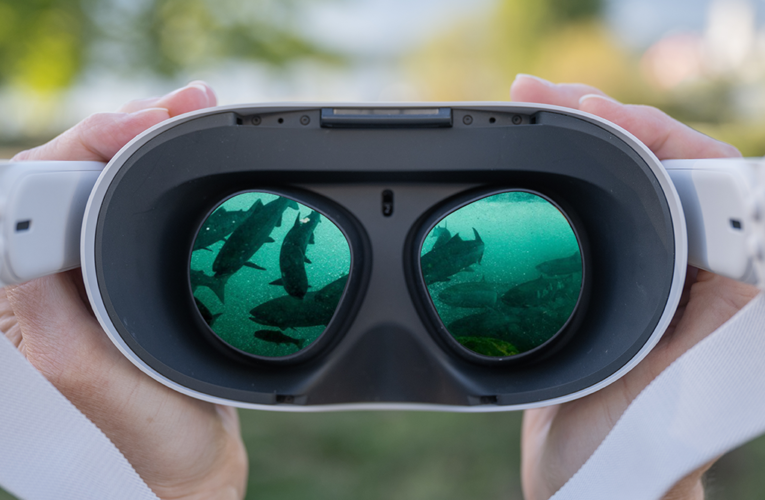 Swim (Virtually) With Salmon in ‘Uninterrupted’