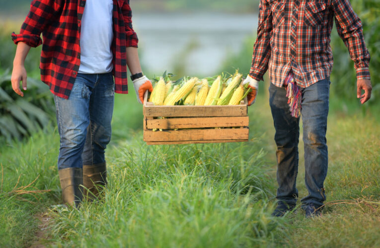 Why Canada’s Struggling Small Businesses Should Become Co-ops
