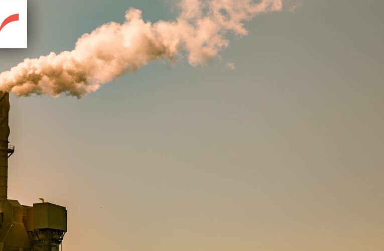 Election roundtable: Fossil fuels ‘the elephant in the climate policy room’