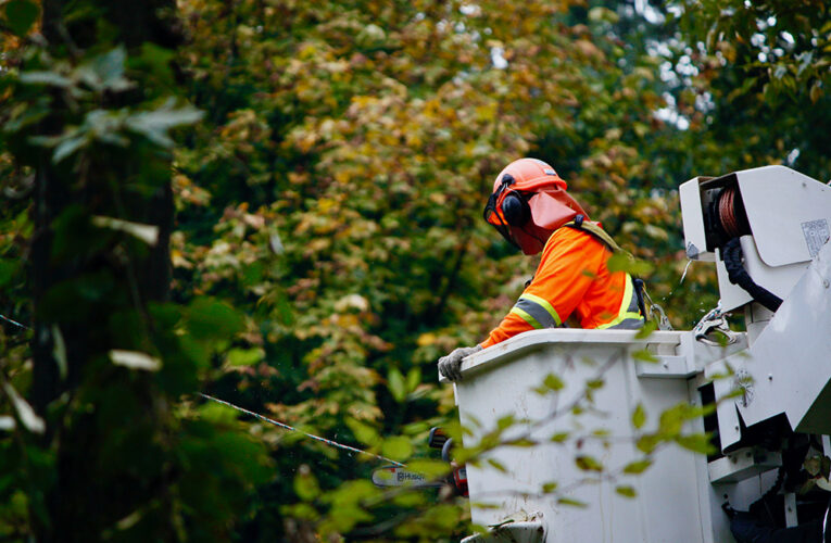 RCMP Arrest Tree-sitter Protesting Trans Mountain Pipeline Expansion