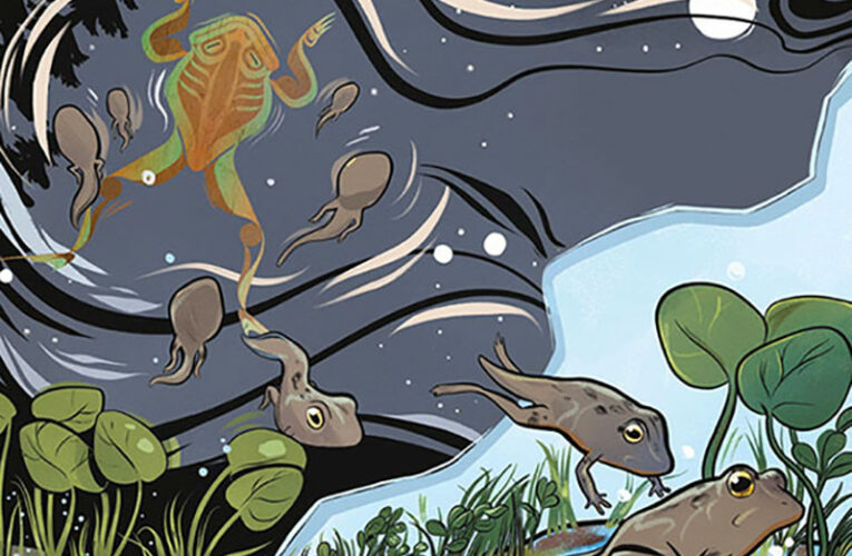 CONTEST: Win Free Shipping on ‘Mothers of Xsan’ Kids Books