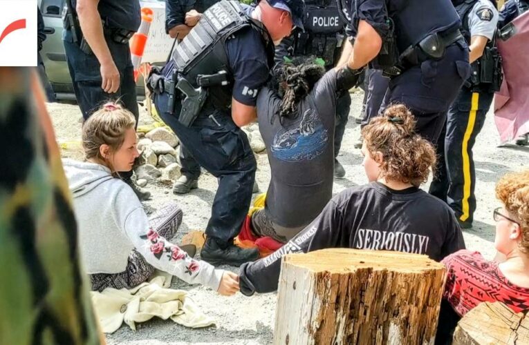 Fairy Creek: Meet the people behind the largest act of civil disobedience in Canadian history