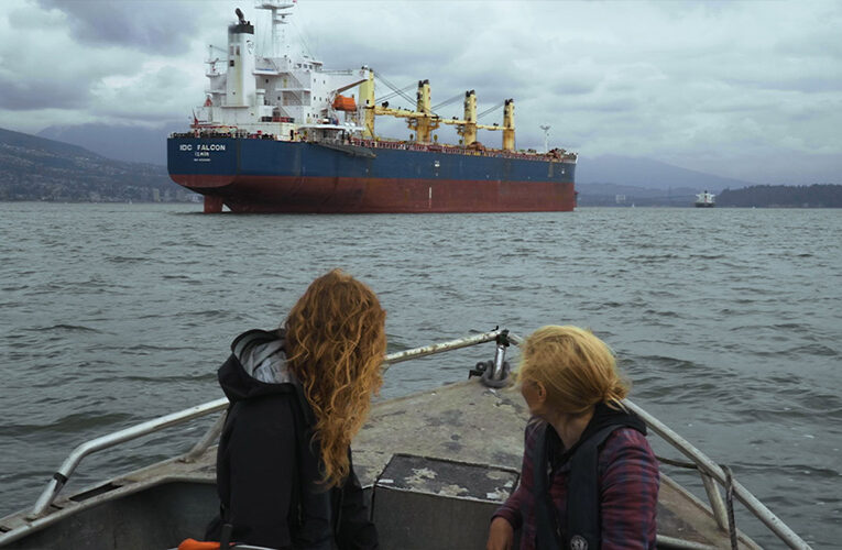 Orcas Are in Trouble. Do Documentaries Help?