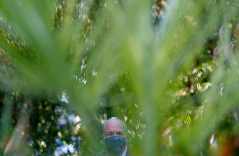 Why It’s Hard for BC’s NDP to Be Greener