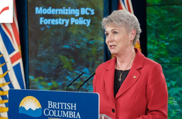‘A calculated strategy:’ B.C. logging deferral fails to protect old-growth, say critics