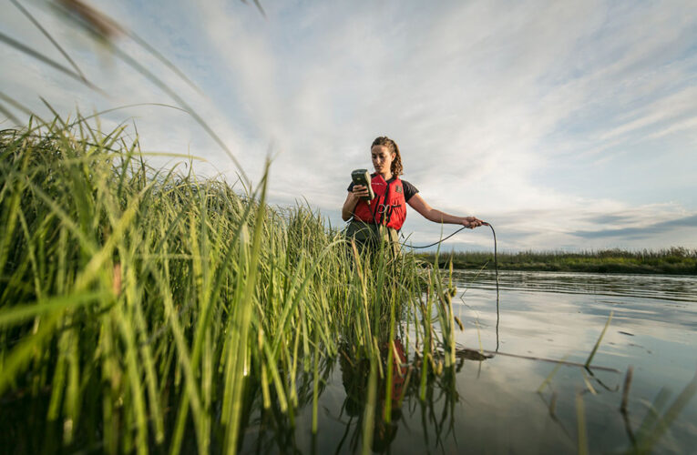 BC Has a New Flood Strategy in the Works