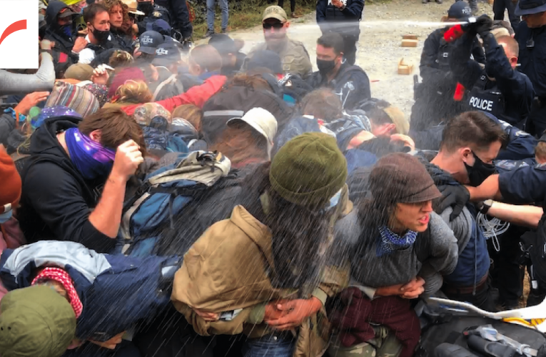 INVESTIGATION: RCMP misled public about pepper spray incident at Fairy Creek