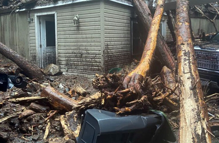 Living Through a Mudslide in Harrison Hot Springs