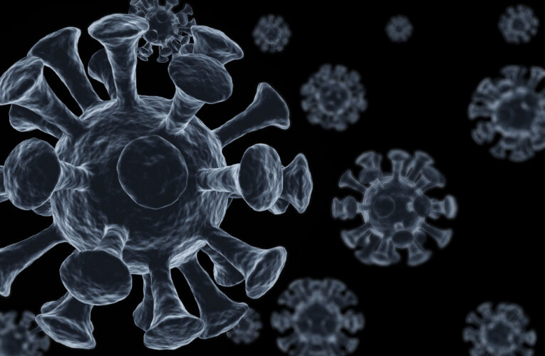 Our Long Night of the Virus