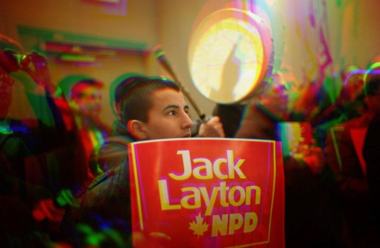 The NDP and the parliamentary illusion