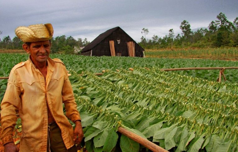 What the world can learn from Cuba’s climate fight