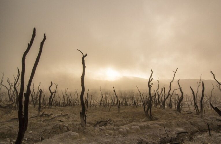 A new reign of climate chaos